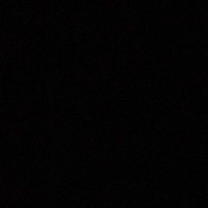 Meet your Posher, Kylie